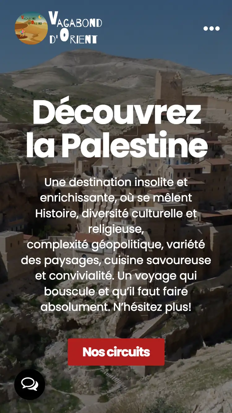 Screenshot mobile